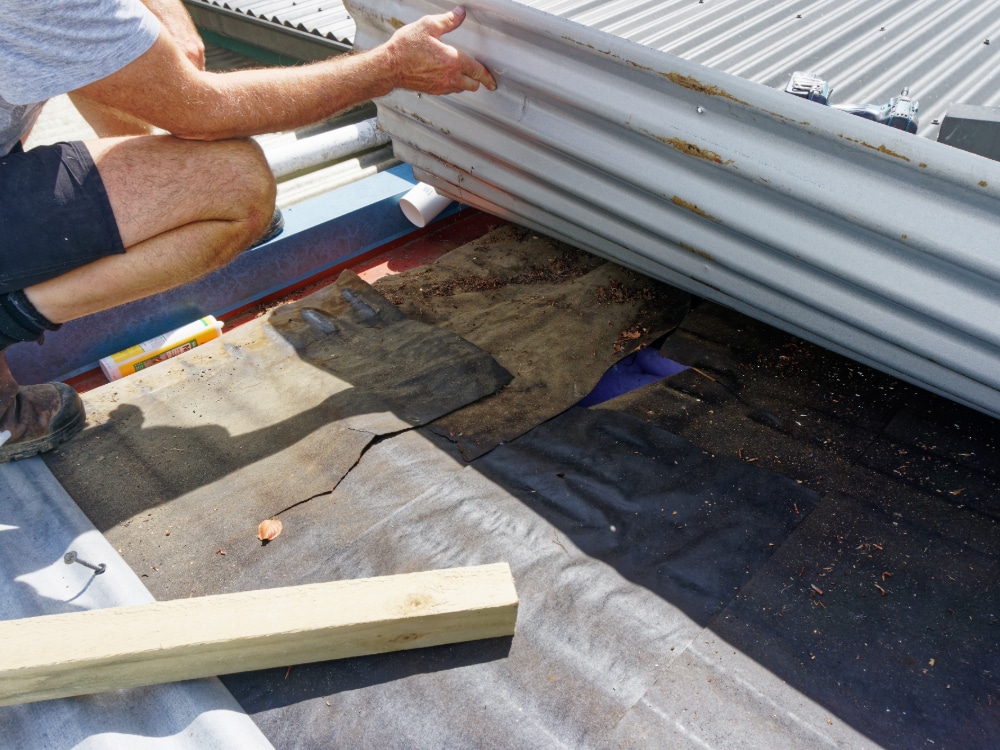 Maintenance for building dampness | Rommel NZ
